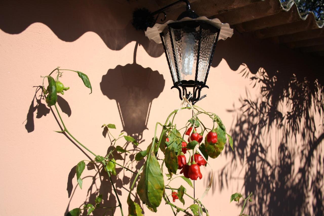 Vila La Casa Di Sara Pula Exteriér fotografie